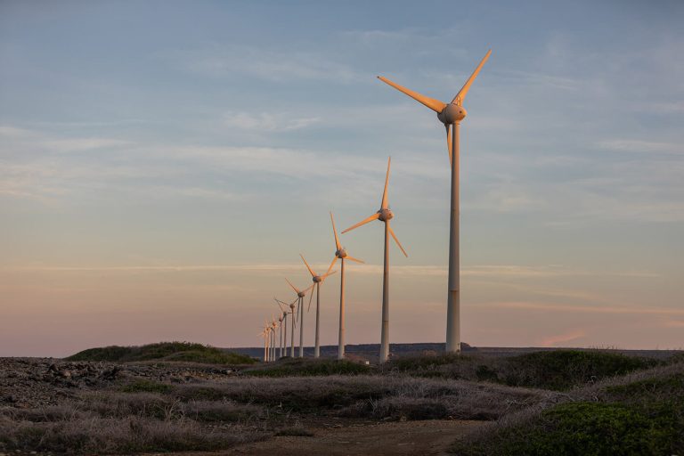 El sector eólico europeo alcanza un récord de subastas en 2024 mientras las previsiones en Estados Unidos se ven afectadas por la incertidumbre