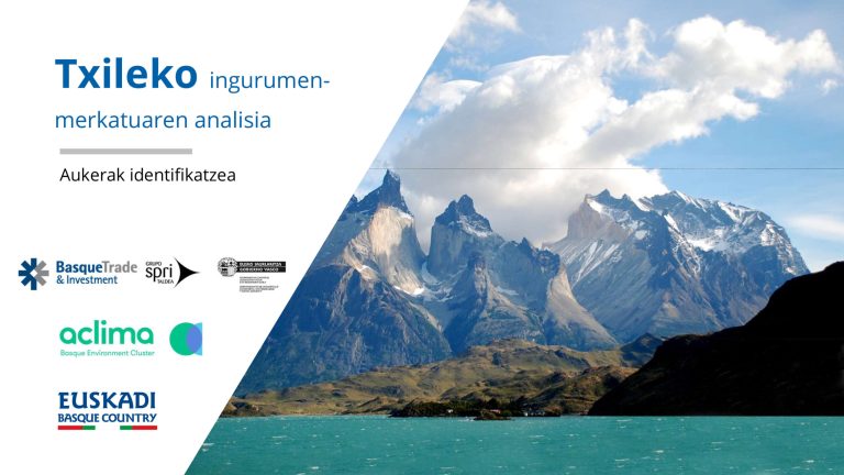 Txileko ingurumen-merkatuaren azterketa. Negozio-Aukerak
